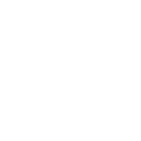 Logo Audiovideo Walter