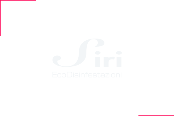 esempio di logo design per una ditta che si occupa di disinfestazione deratizzazione e sanificazione