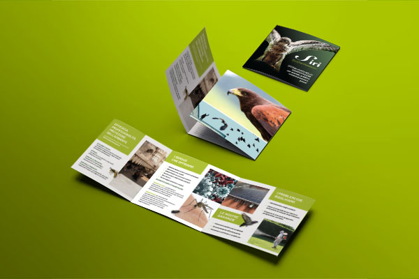 depliant di un'azienda che si occupa di disinfestazione deratizzazione e sanificazione